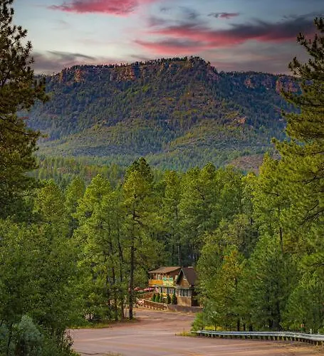 Luxury Glamper Retreat 14 Forest Site