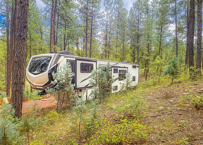 Camping Luxury Glamper Retreat 14 Forest Site